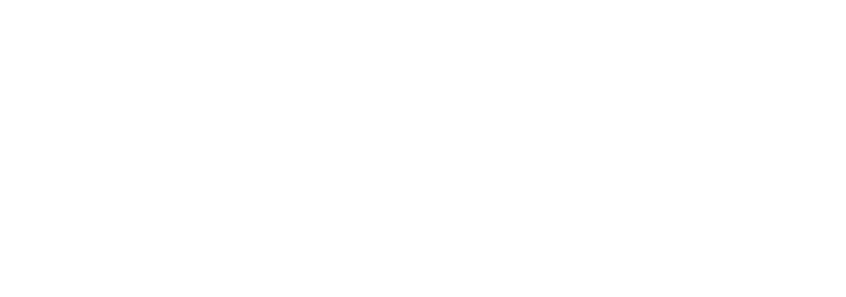 NTT DATA Logo
